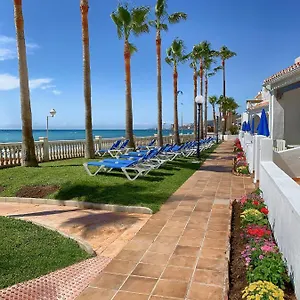 book here